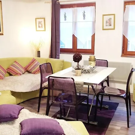 F3 Petite Venise - Gallery Апартаменти Кольмар