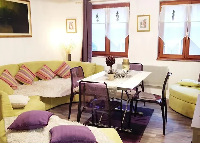 F3 Petite Venise - Gallery Apartment Colmar